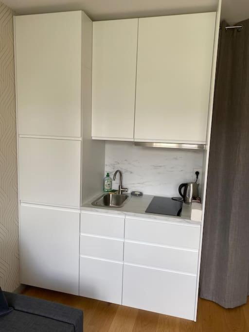 Charmant Perchoir Plein Sud A Boulogne ! Boulogne-Billancourt Exterior foto